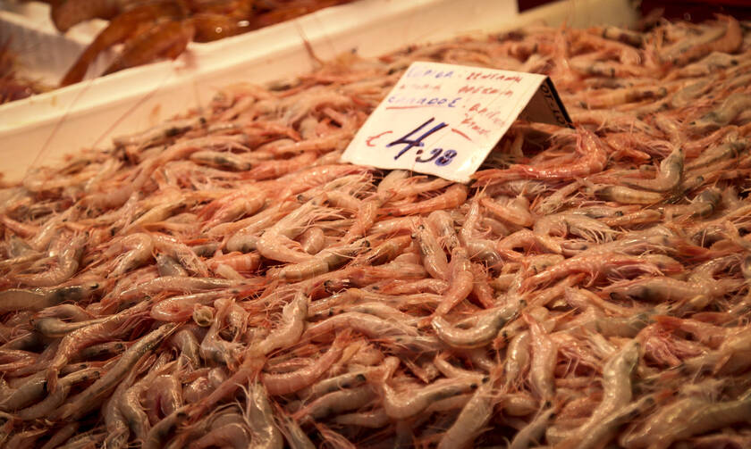 Μεσολόγγι: Έκλεψαν ψάρια από ιχθυοπωλείο αξίας 1.800 ευρώ