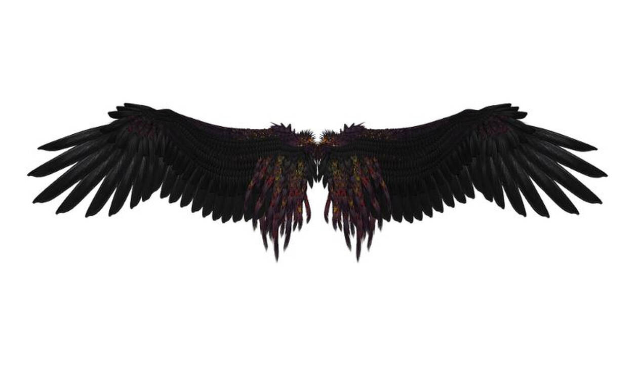 Συγκλονιστική ανακάλυψη: Λύθηκε το μυστήριο του φτερωτού «δαίμονα» Αγχιόρνις (Vid)