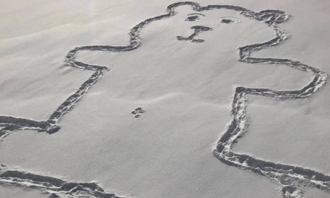 «Εξωγήινοι» ζωγραφίζουν αρκούδες στο χιόνι; 
