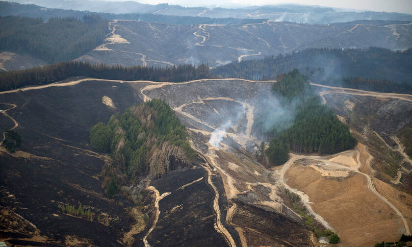 Καίγεται η Νέα Ζηλανδία: Η χειρότερη πυρκαγιά των τελευταίων 50 χρόνων (vid)