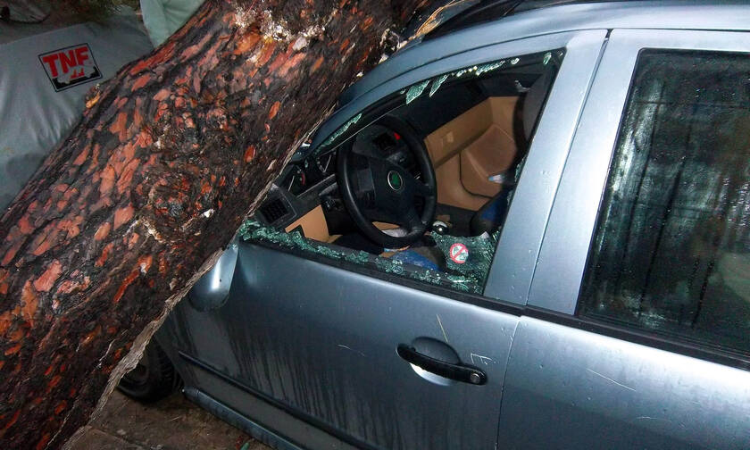  Νέα Σμύρνη: Δέντρο έπεσε και καταπλάκωσε αυτοκίνητα 