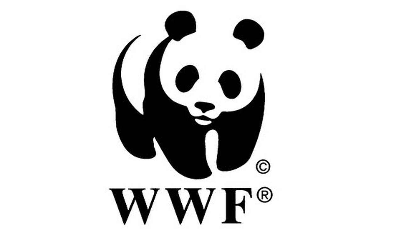 Παγκόσμια έκθεση WWF: Επιλύοντας το πρόβλημα της πλαστικής ρύπανσης μέσω της ανάληψης ευθυνών