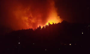 Πήλιο: Ολονύχτια «μάχη» με τις φλόγες στο Πουρί – Κάηκαν δύο στρέμματα καστανιές
