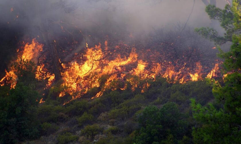 Φωτιά ΤΩΡΑ: Μεγάλη πυρκαγιά στο Νεοχώρι Μυτιλήνης 