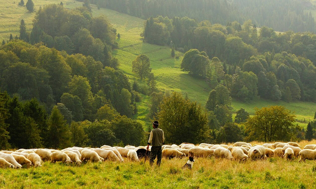 Αφορά γεωργούς και κτηνοτρόφους: Σε ποιες περιπτώσεις δίνεται έξτρα οικονομική ενίσχυση