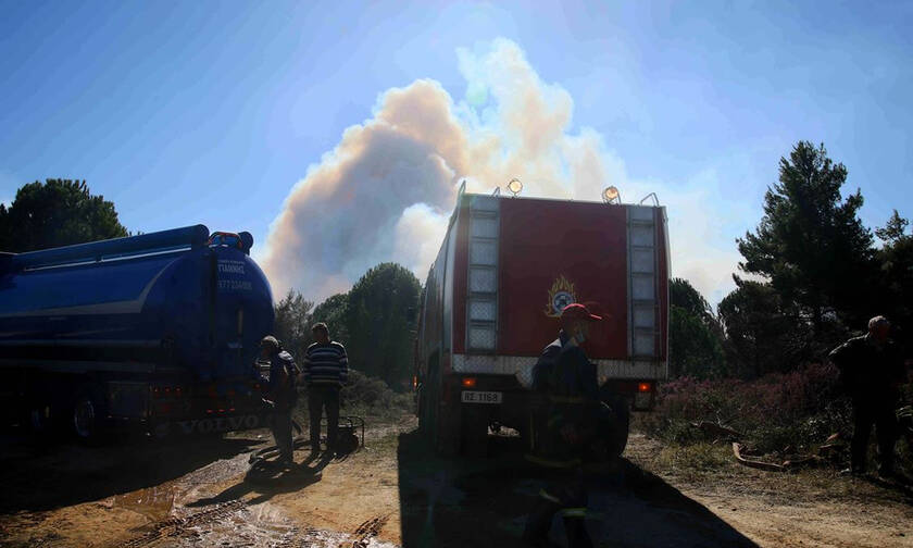 Μεγάλη φωτιά στην Ηλεία: Καίγεται το δάσος της Στροφυλιάς (pics&vid)