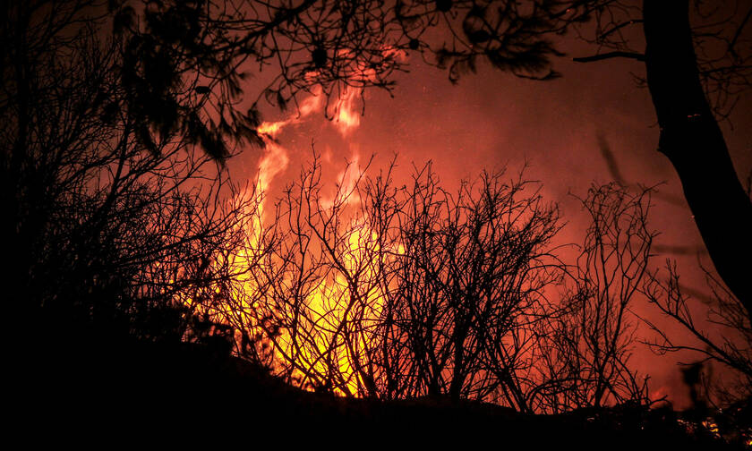 Μαίνεται η πυρκαγιά στο προστατευόμενο δάσος της Στροφυλιάς (pics&vid)