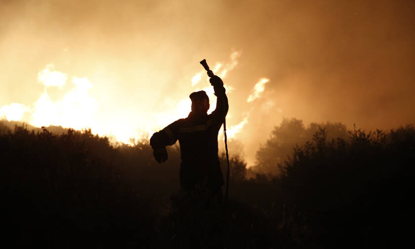 Στάχτη το προστατευόμενο δάσος της Στροφυλιάς - Συνεχίζεται η «μάχη» με τις φλόγες (pics&vid)