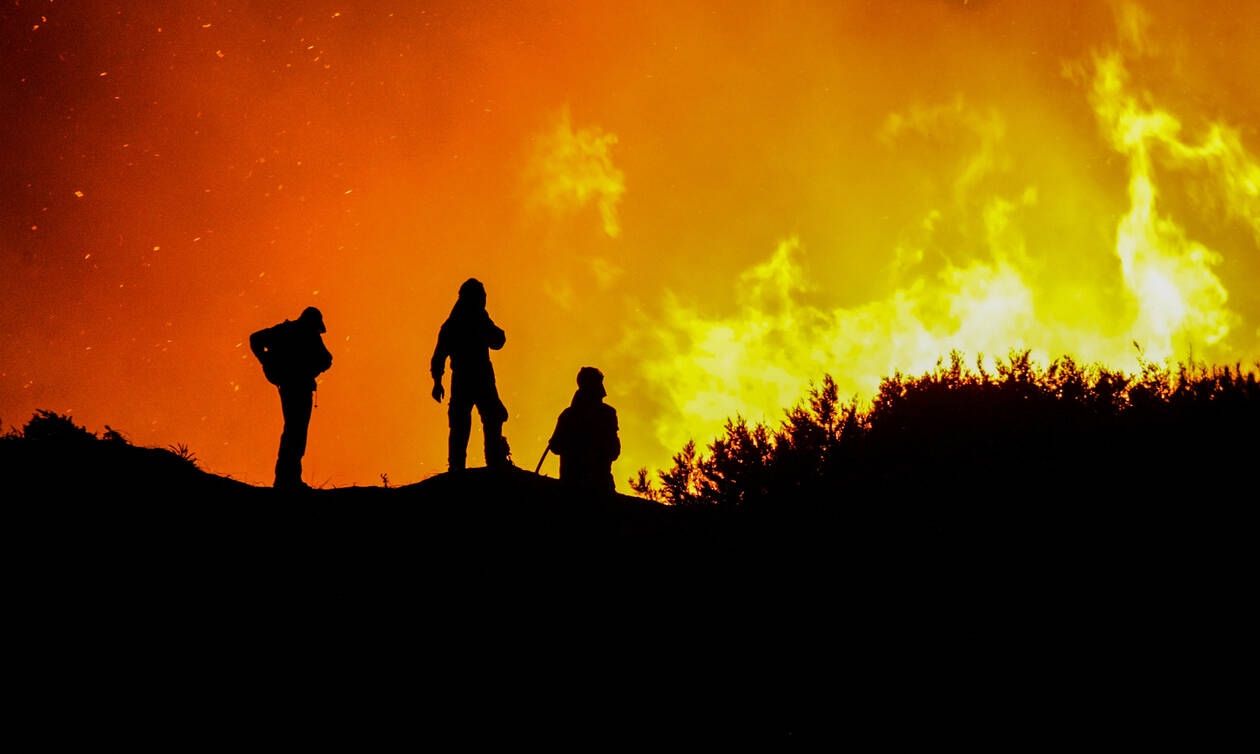 Ηλεία: Βελτιώνεται η εικόνα της φωτιάς στο δάσος της Στροφυλιάς (pics&vids)