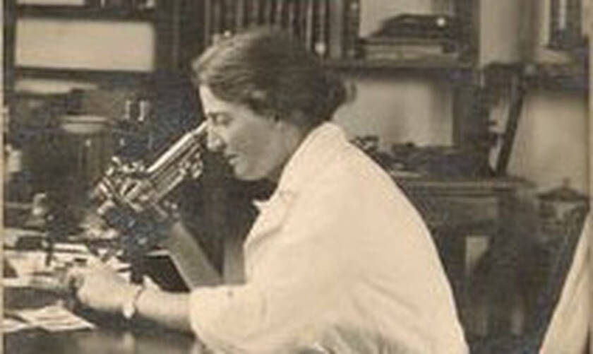 Lucy Wills: 131 χρόνια από τη γέννηση της πρωτοπόρου της αιματολογίας