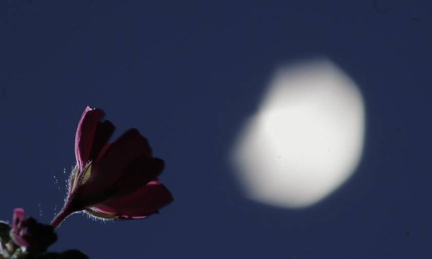 Πανσέληνος Μαΐου: Πότε θα τη δούμε - Γιατί ονομάζεται «Φεγγάρι του λουλουδιού» (pics)