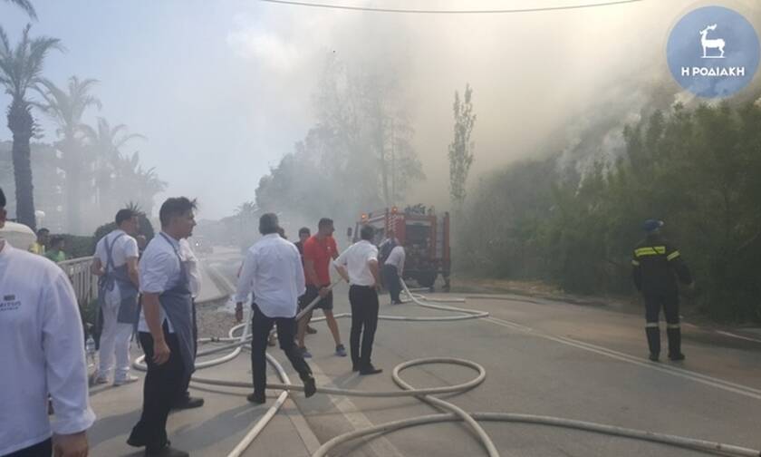 Ρόδος: Φωτιά κοντά σε μεγάλο ξενοδοχείο στο Φαληράκι (pics&vid)