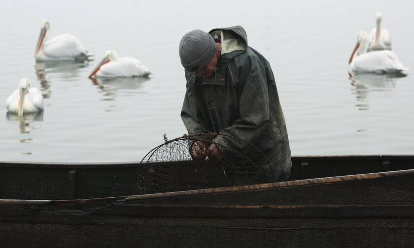 ΣΟΚ στην Πρέβεζα: «Πάγωσαν» οι ψαράδες με αυτό που βγήκε από τη θάλασσα (pics)