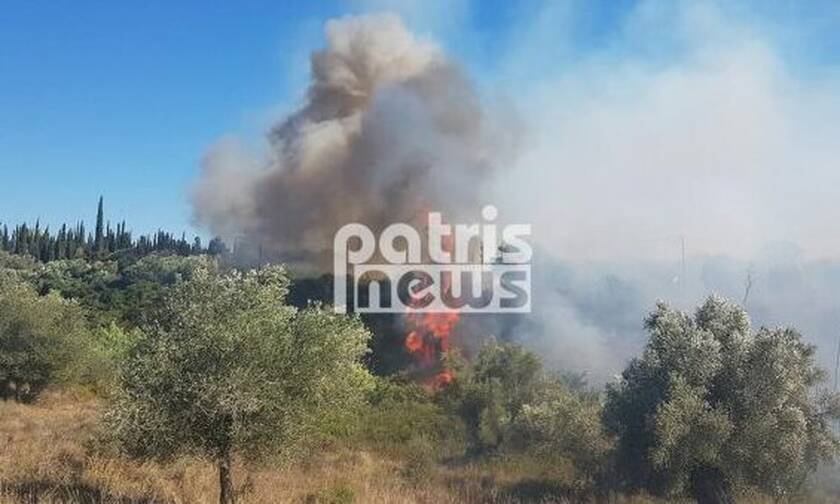 Φωτιά ΤΩΡΑ: Καίγεται δασική έκταση στην Δυτική Αχαΐα