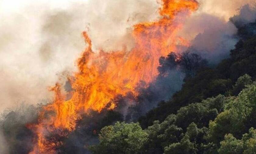 Φωτιά ΤΩΡΑ: Μεγάλη πυρκαγιά στους Αγίους Θεοδώρους 