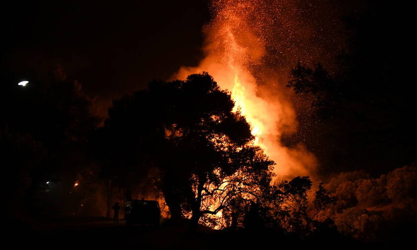 Φωτιά τώρα: Σε ύφεση η πυρκαγιά στον Πισσώνα Ευβοίας (ΧΑΡΤΗΣ)