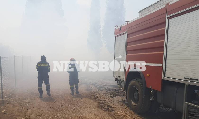 Φωτιά ΤΩΡΑ: Χωρίς ενιαίο μέτωπο η πυρκαγιά στο Λαύριο (pics&vid)