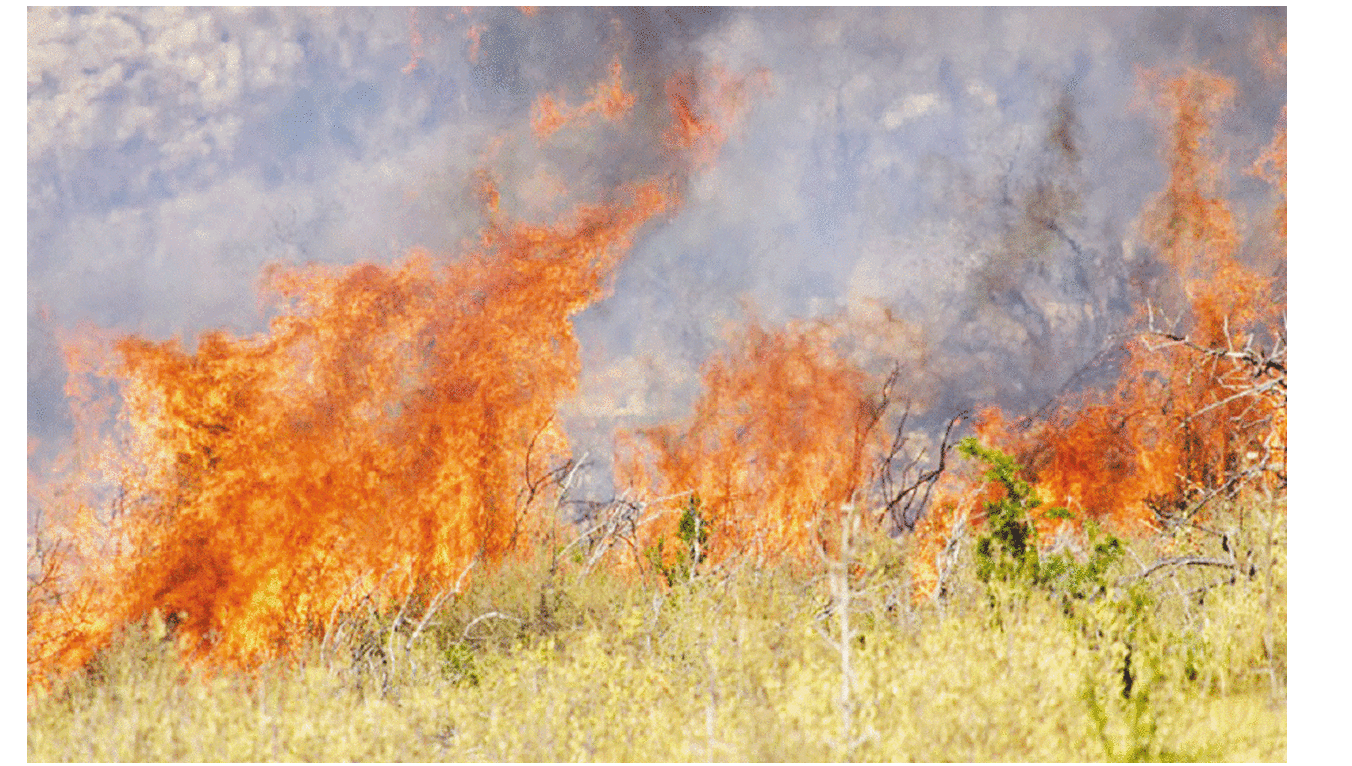 Φωτιά ΤΩΡΑ: Πυρκαγιά σε εξέλιξη στην Αίγινα