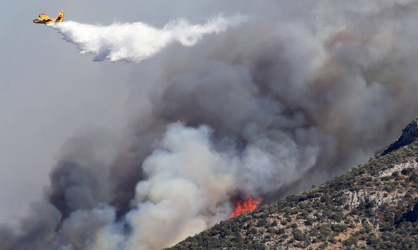 Φωτιά ΤΩΡΑ: Μεγάλη πυρκαγιά μαίνεται στην Εύβοια