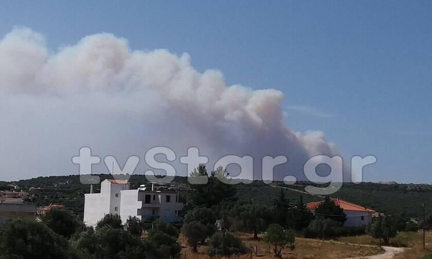 Φωτιά ΤΩΡΑ: Οι πρώτες εικόνες από τη μεγάλη πυρκαγιά στην Εύβοια