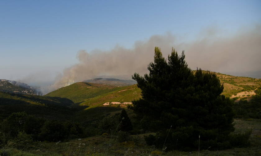 Φωτιά ΤΩΡΑ στην Εύβοια: Μάχη σε τρία μέτωπα δίνουν οι πυροσβέστες (pics+vid)