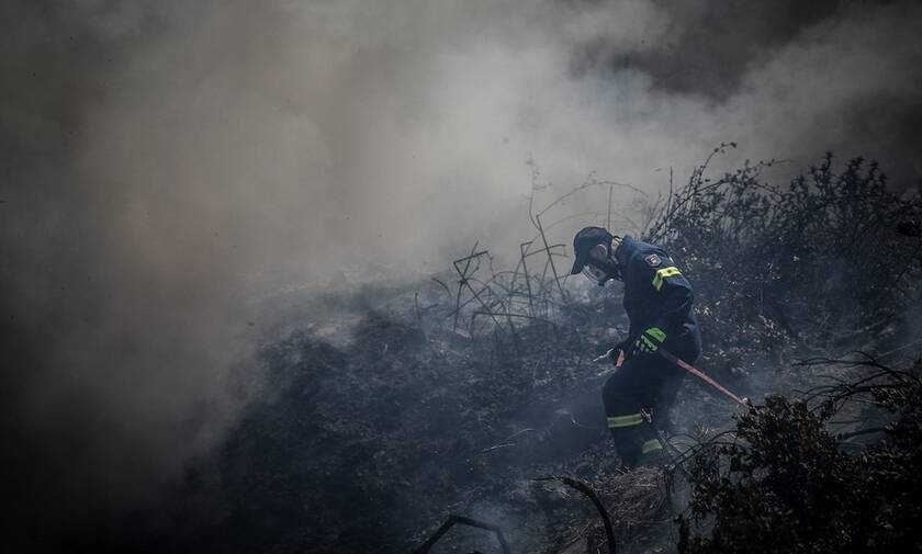 Θρίλερ με τη φωτιά στην Εύβοια: Σε πολλαπλά μέτωπα η μάχη με τις φλόγες - Δεν κοπάζουν οι άνεμοι