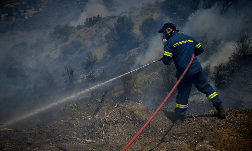 Φωτιά στην Εύβοια: Σε ύφεση όλα τα μέτωπα - Παραμένει σε επιφυλακή η Πυροσβεστική