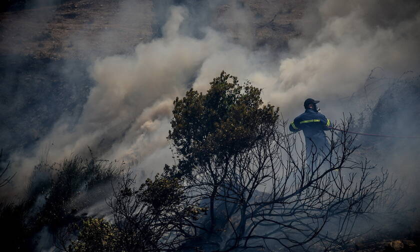 Φωτιά ΤΩΡΑ: Υπό μερικό έλεγχο η πυρκαγιά στην Εύβοια