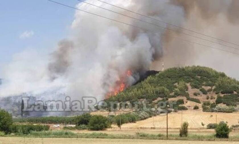 Φωτιά στη Φθιώτιδα: Ενισχύθηκαν οι δυνάμεις της Πυροσβεστικής - Εκκενώθηκαν σπίτια (pics) 