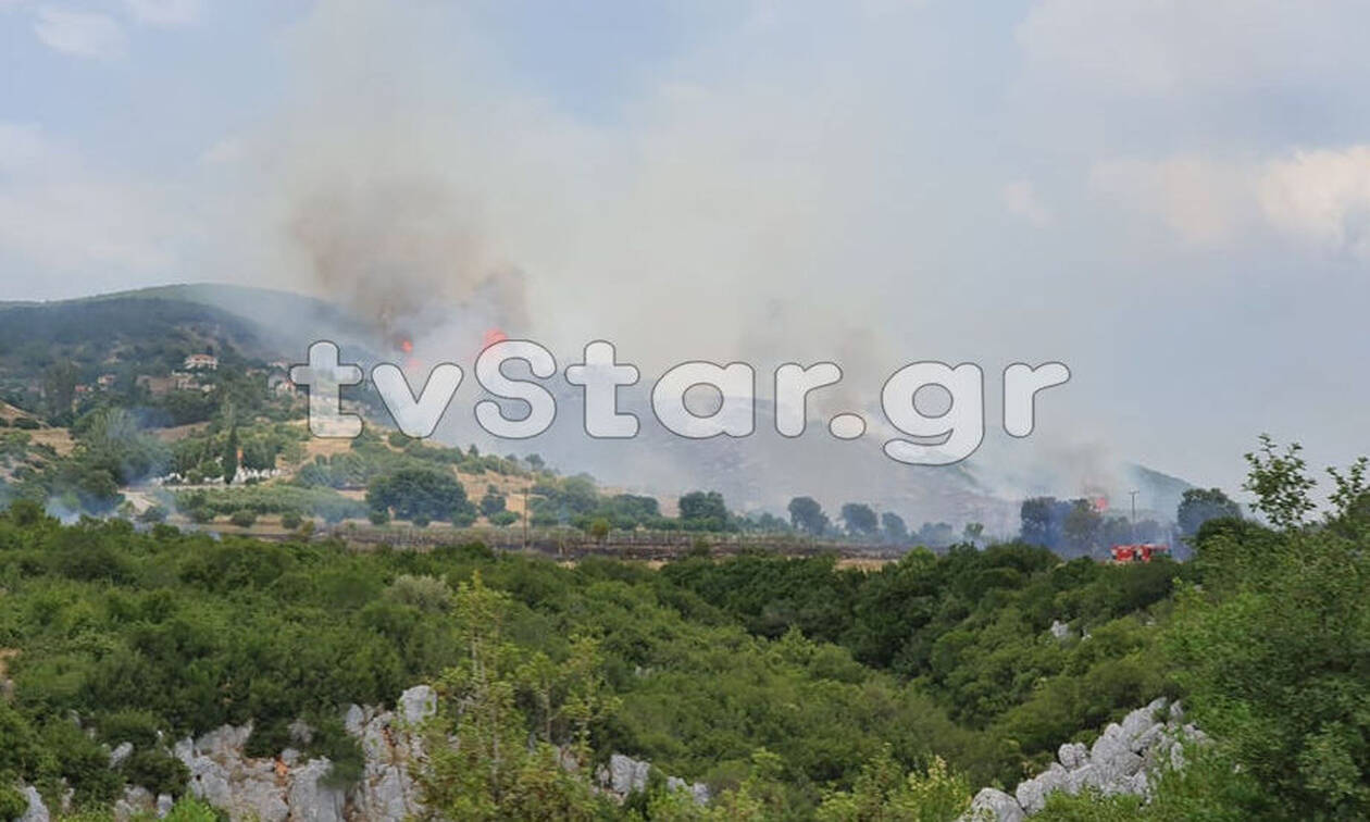 Φωτιά ΤΩΡΑ: Η πυρκαγιά κύκλωσε τη Δίβρη - Εκκενώνεται το χωριό (pics)