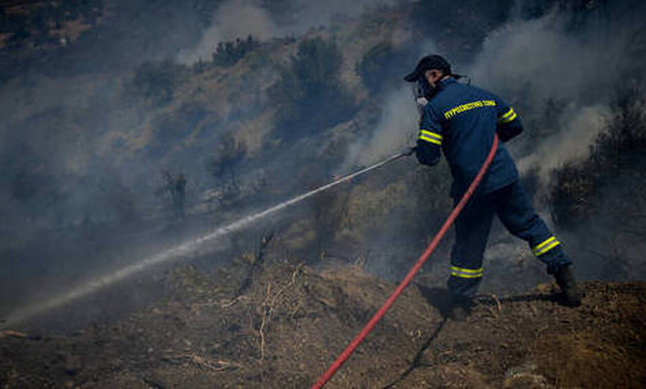 Φωτιά ΤΩΡΑ: Φλέγεται πάλι η Εύβοια - Μεγάλη πυρκαγιά στο Πευκί