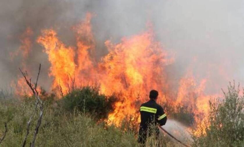 Υπό έλεγχο οι φωτιές στην Εύβοια – Σε επιφυλακή παραμένει η Πυροσβεστική στην Κεφαλονιά 