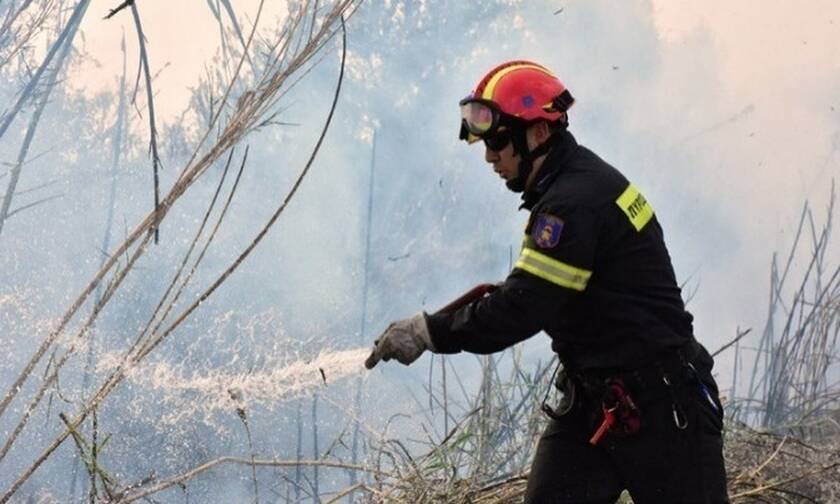 Ζακυνθος: Πυρκαγιά στο χωριό Άγιο Κήρυκος