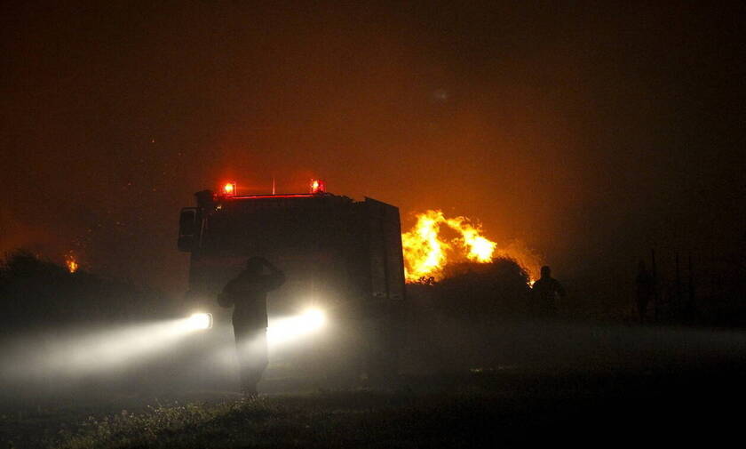 Φωτιά: Έσβησε η πυρκαγιά στο δάσος του Αργυροχωρίου Υπάτης