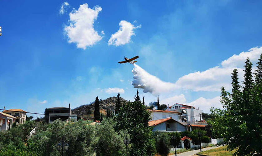 Φωτιά ΤΩΡΑ: Μεγάλη πυρκαγιά στο Ναύπλιο - Είναι κοντά σε κατοικημένη περιοχή (pics)