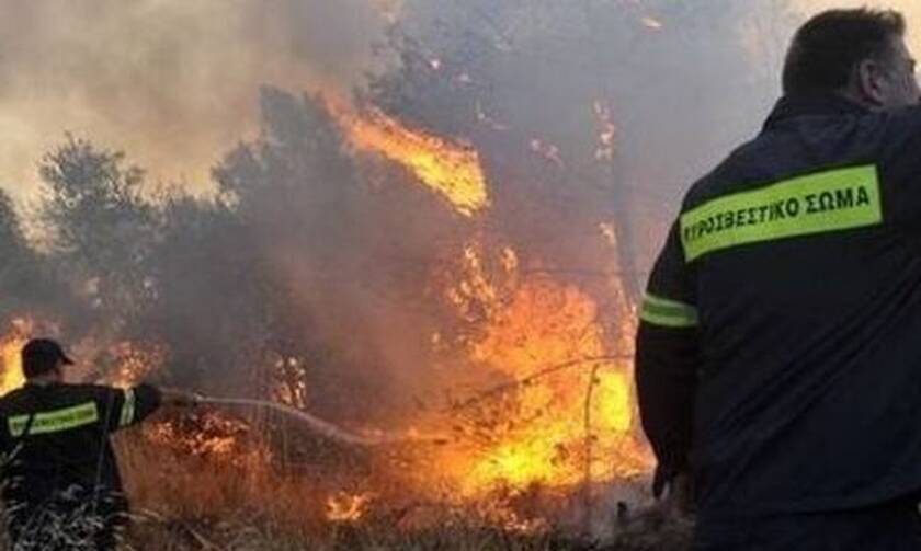 Φωτιά ΤΩΡΑ: Πύρινη κόλαση στη Θάσο - Απειλείται κατοικημένη περιοχή