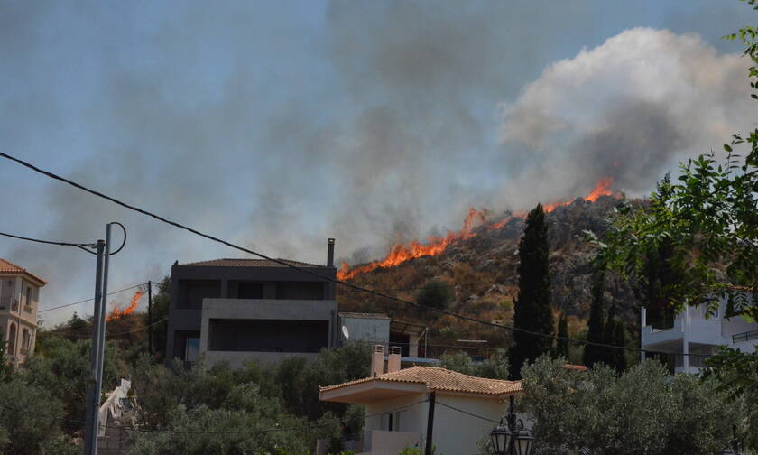 Φωτιά σε Ναύπλιο και Θάσο: Υπό έλεγχο τα πύρινα μέτωπα