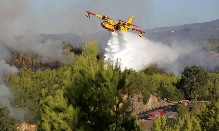 Πάνω από 900 πυροσβέστες αγωνίζονται για να θέσουν υπό έλεγχο πυρκαγιές στην κεντρική Πορτογαλία