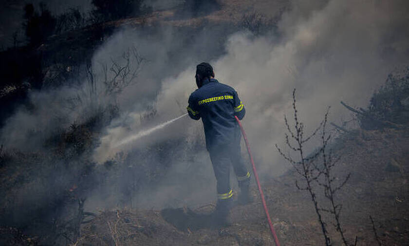 Φωτιά ΤΩΡΑ: Διάσπαρτες εστίες στον Κιθαιρώνα – Μάχη των πυροσβεστών να τη θέσουν υπό έλεγχο