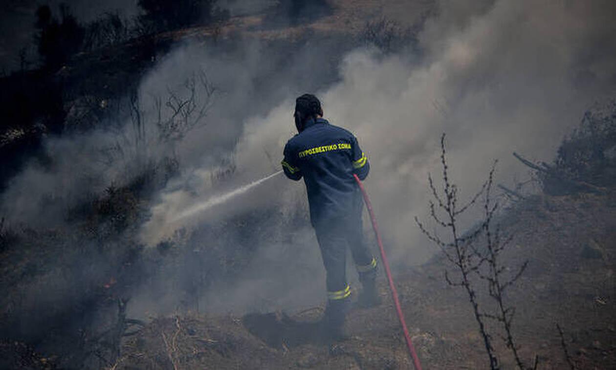  Φωτιά ΤΩΡΑ: Διάσπαρτες εστίες στον Κιθαιρώνα – Μάχη των πυροσβεστών να τη θέσουν υπό έλεγχο