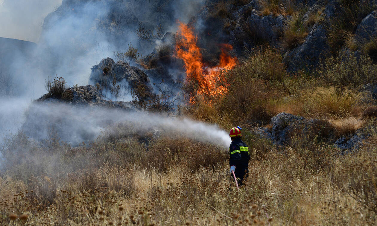  Φωτιά ΤΩΡΑ: Σε ύφεση η πυρκαγιά στον Κιθαιρώνα - Νέα πύρινα μέτωπα σε Μυτιλήνη και Ιωάννινα