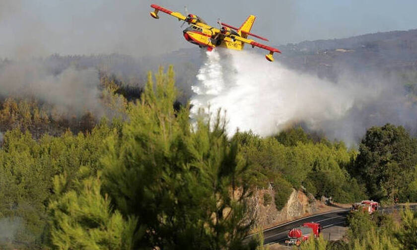 Πυρκαγιές στην Πορτογαλία: Πάνω από 1.700 πυροσβέστες στη «μάχη» με τις φλόγες – 20 τραυματίες