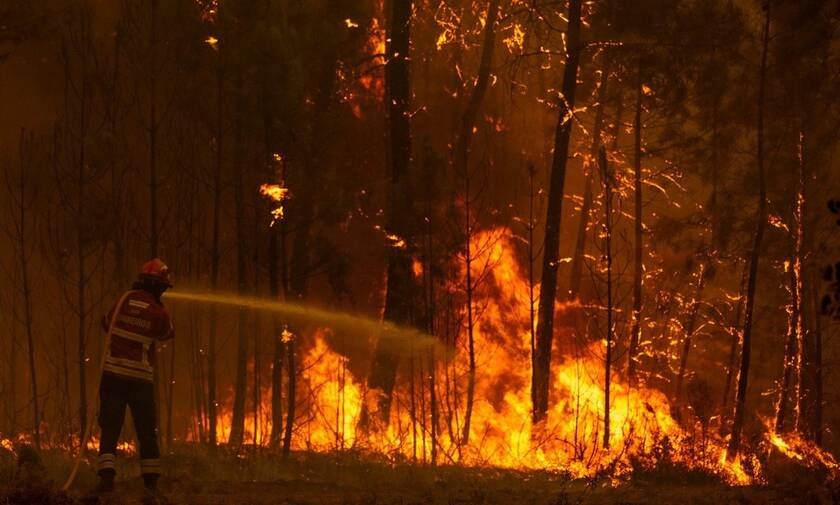 Αναζωπυρώθηκαν οι πυρκαγιές στην Πορτογαλία