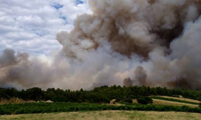 Φωτιά ΤΩΡΑ: Όλες οι δυνάμεις στην Τανάγρα – Μάχη να μη φτάσουν οι φλόγες στο δάσος των Δερβενοχωρίων