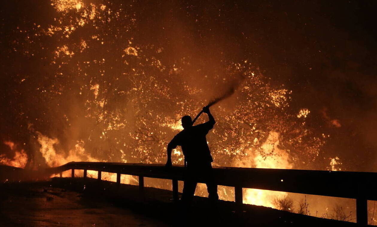 Φωτιά ΤΩΡΑ στην Εύβοια: Στις φλόγες δασική έκταση στη Σέτα (ΧΑΡΤΗΣ)