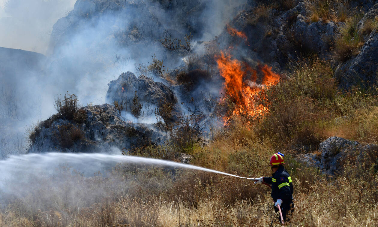 Φωτιά στην Ελαφόνησο: Οριοθετήθηκε η πυρκαγιά – Σε «κόκκινο» συναγερμό η Πυροσβεστική (pics+vids)