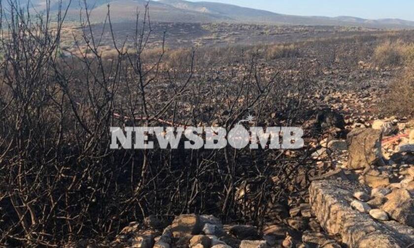 Συναγερμός σε όλη την Ελλάδα: Ξέσπασαν 59 φωτιές σε ένα 24ωρο – Κάηκαν Ελαφόνησος και Μαραθώνας