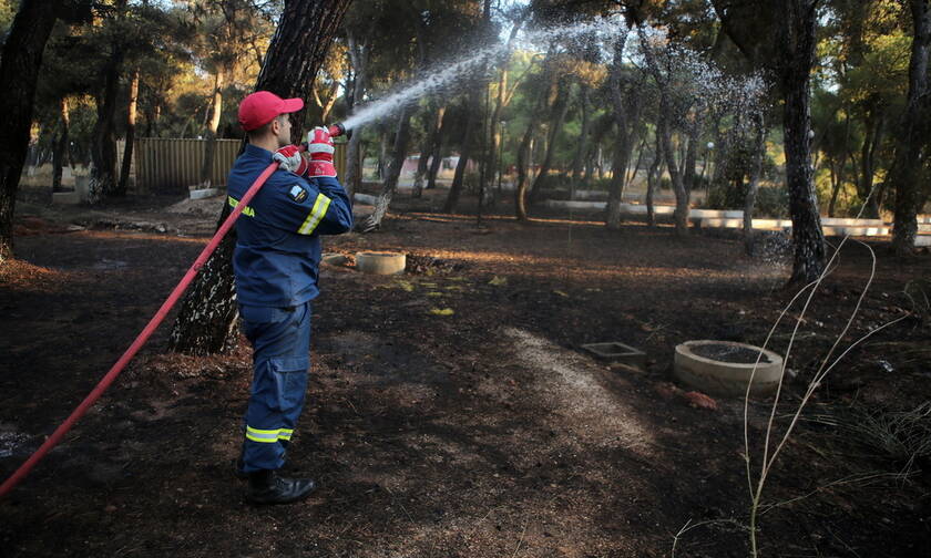 Φωτιά ΤΩΡΑ στο Μαραθώνα: Υπό μερικό έλεγχο η πυρκαγιά στο Ζούμπερι 