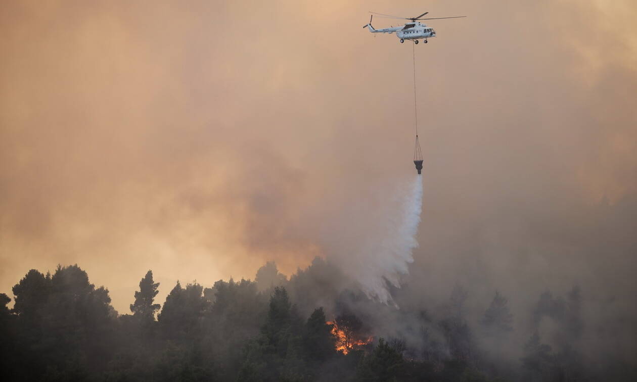 Φωτιά ΤΩΡΑ στην Εύβοια - Μεγάλη πυρκαγιά στην Αγριλίτσα: Ενισχύθηκαν οι πυροσβεστικές δυνάμεις