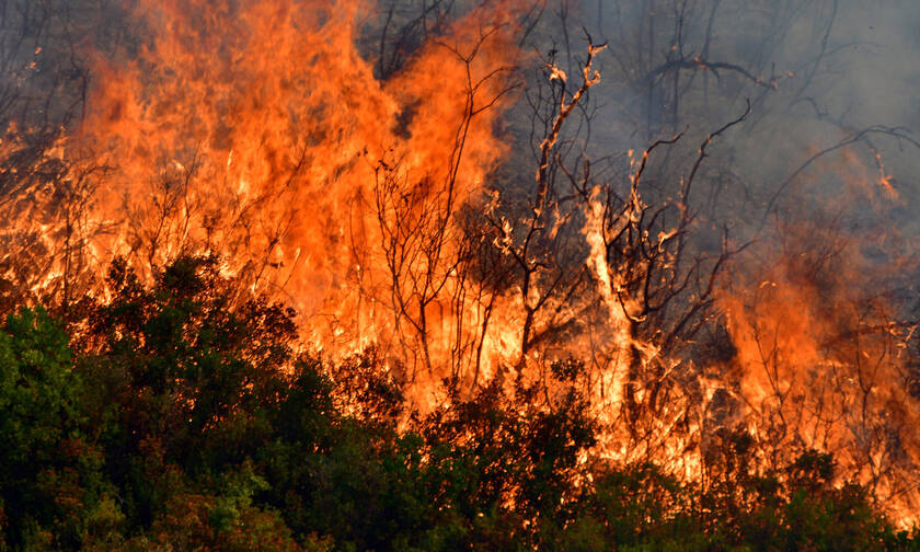 Φωτιά ΤΩΡΑ: Δείτε LIVE που έχει πυρκαγιές σε όλη την Ελλάδα 